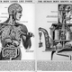 Illustration for article titled Your Body, the Machine... Literally